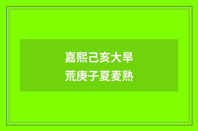 嘉熙己亥大旱荒庚子夏麦熟