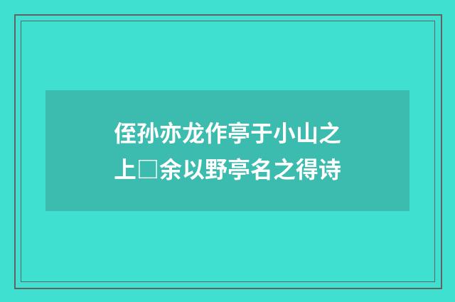 侄孙亦龙作亭于小山之上□余以野亭名之得诗