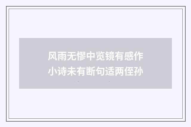 风雨无憀中览镜有感作小诗未有断句适两侄孙
