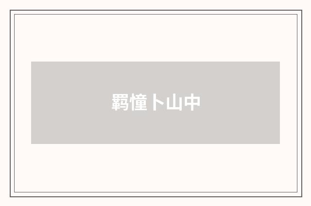 羁憧卜山中