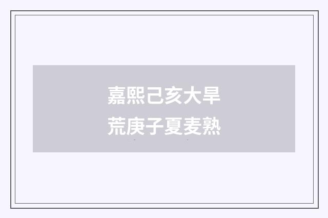 嘉熙己亥大旱荒庚子夏麦熟