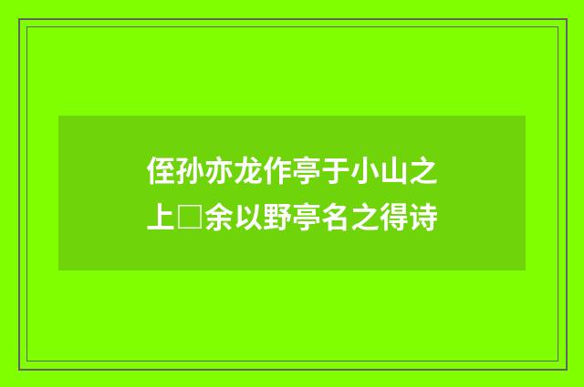 侄孙亦龙作亭于小山之上□余以野亭名之得诗