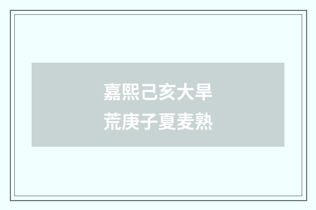 嘉熙己亥大旱荒庚子夏麦熟