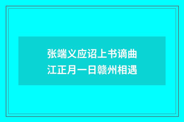 张端义应诏上书谪曲江正月一日赣州相遇