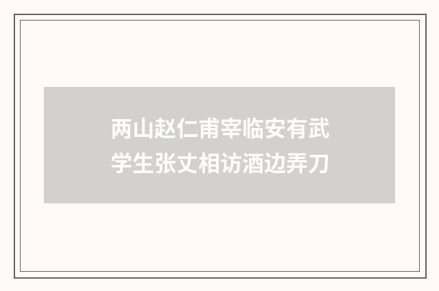 两山赵仁甫宰临安有武学生张丈相访酒边弄刀