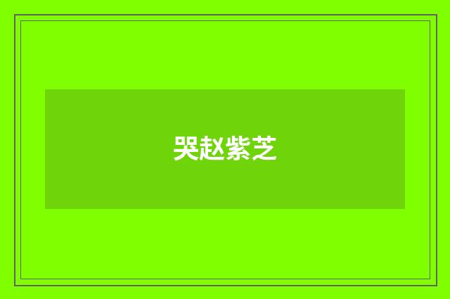 哭赵紫芝