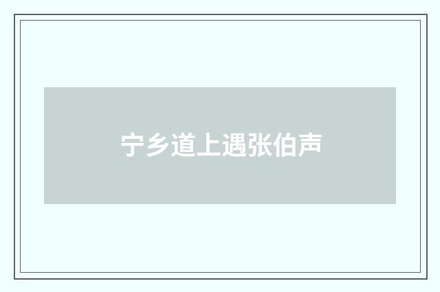 宁乡道上遇张伯声