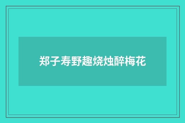 郑子寿野趣烧烛醉梅花