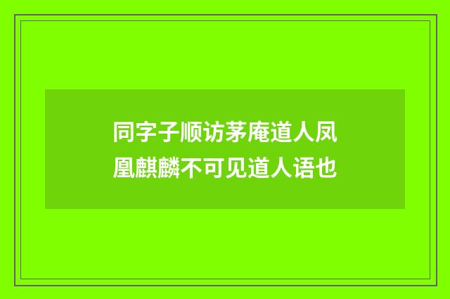 同字子顺访茅庵道人凤凰麒麟不可见道人语也