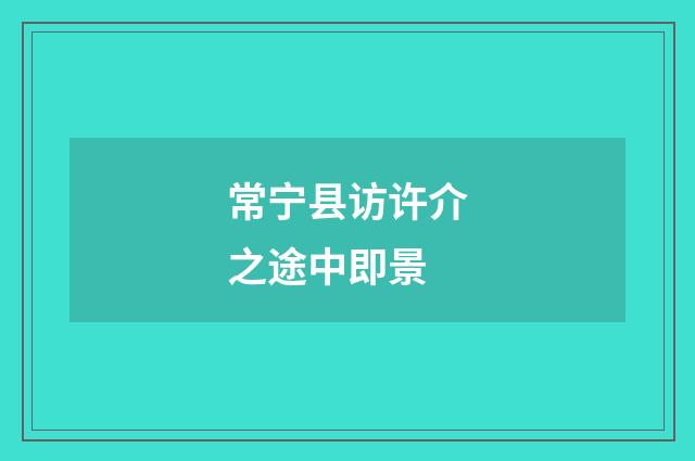 常宁县访许介之途中即景