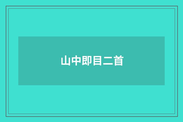 山中即目二首