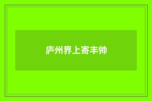 庐州界上寄丰帅