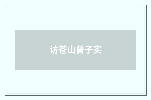 访苍山曾子实