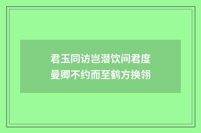 君玉同访岂潜饮间君度曼卿不约而至鹤方换翎