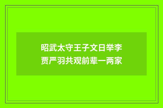 昭武太守王子文日举李贾严羽共观前辈一两家