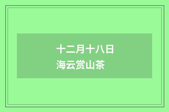 十二月十八日海云赏山茶