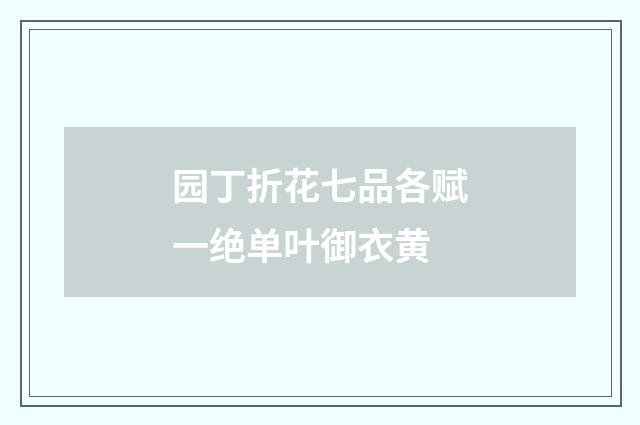 园丁折花七品各赋一绝单叶御衣黄