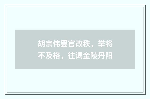 胡宗伟罢官改秩，举将不及格，往谒金陵丹阳