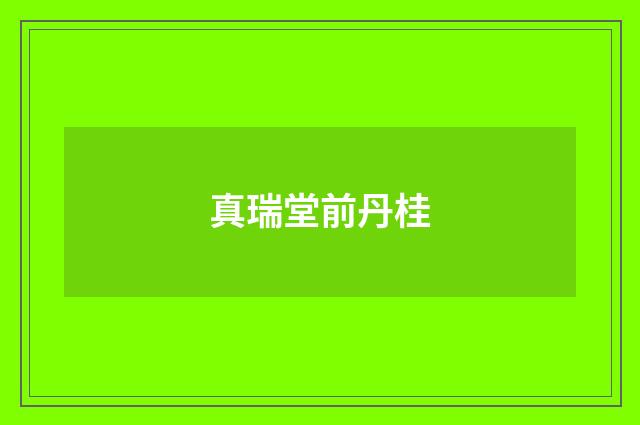 真瑞堂前丹桂