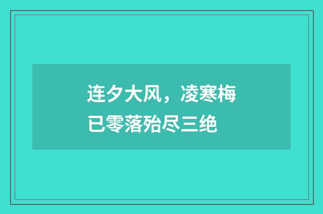 连夕大风，凌寒梅已零落殆尽三绝