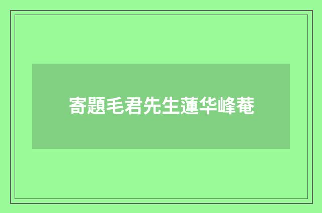 寄題毛君先生蓮华峰菴