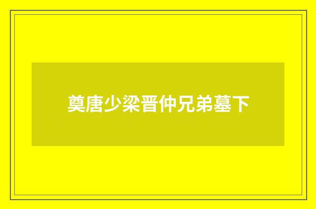 奠唐少梁晋仲兄弟墓下