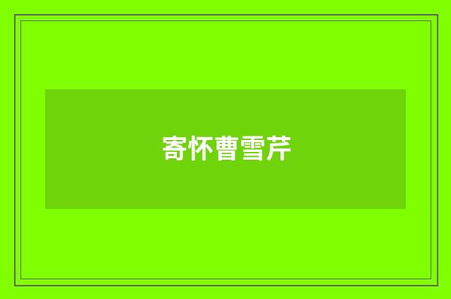 寄怀曹雪芹