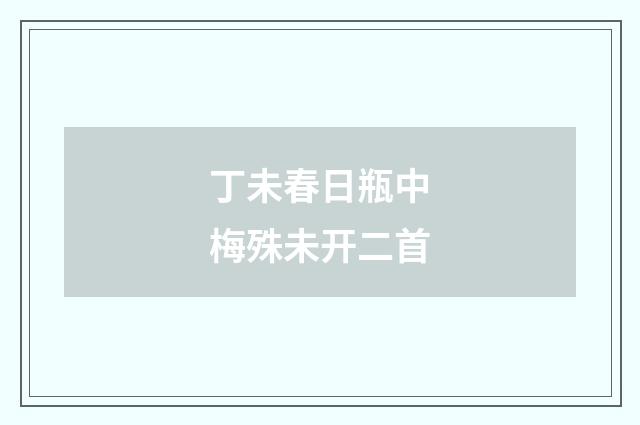 丁未春日瓶中梅殊未开二首