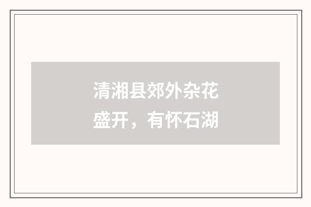 清湘县郊外杂花盛开，有怀石湖