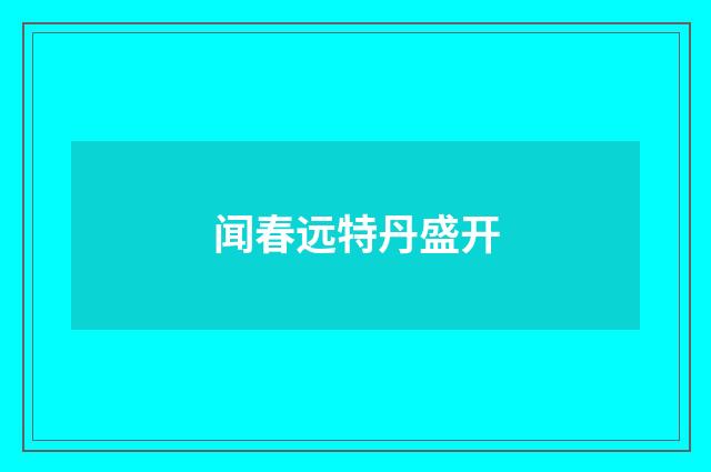 闻春远特丹盛开
