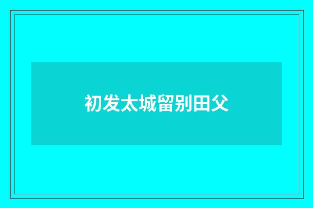 初发太城留别田父
