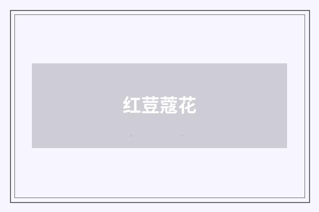 红荳蔻花