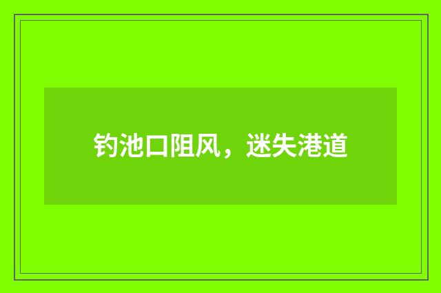 钓池口阻风，迷失港道