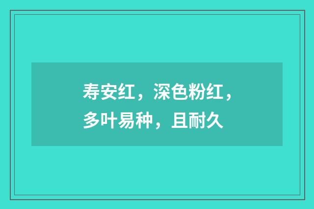寿安红，深色粉红，多叶易种，且耐久
