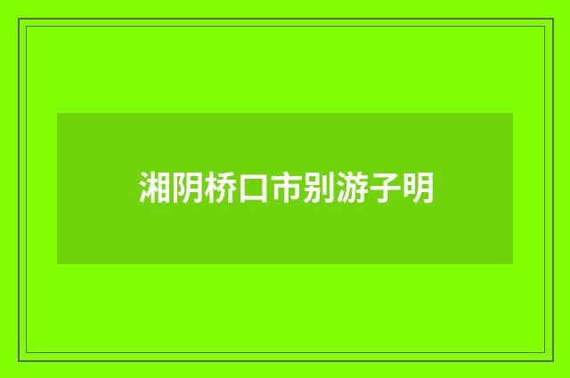 湘阴桥口市别游子明