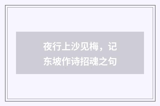夜行上沙见梅，记东坡作诗招魂之句