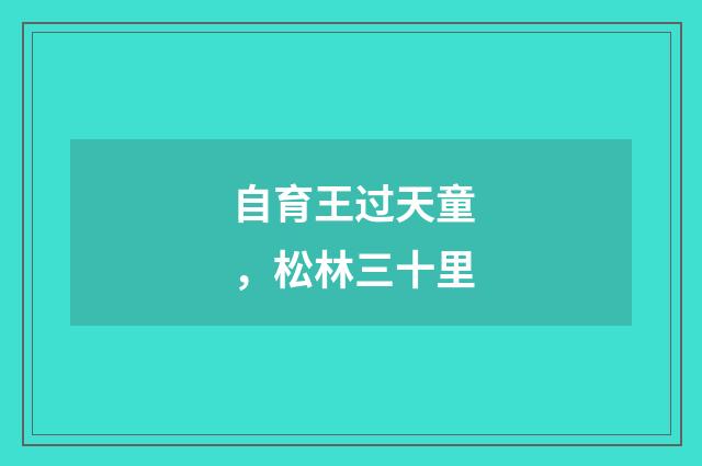 自育王过天童，松林三十里