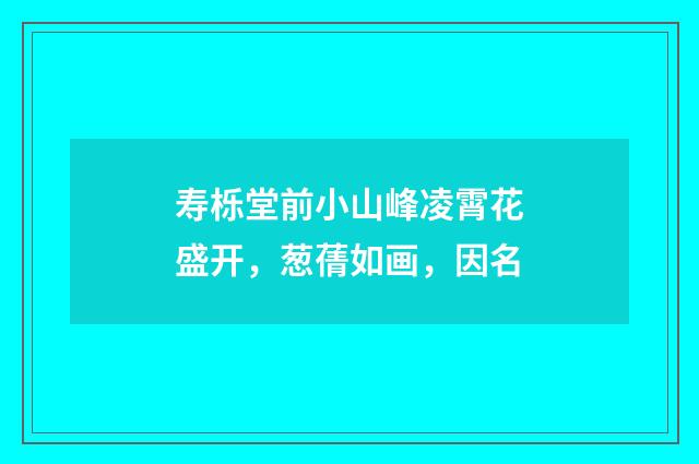 寿栎堂前小山峰凌霄花盛开，葱蒨如画，因名