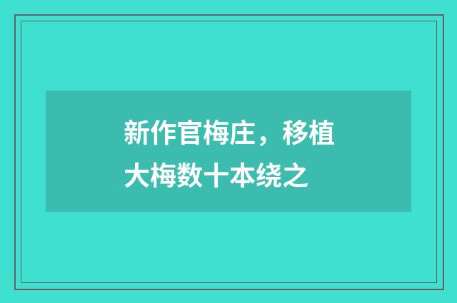 新作官梅庄，移植大梅数十本绕之
