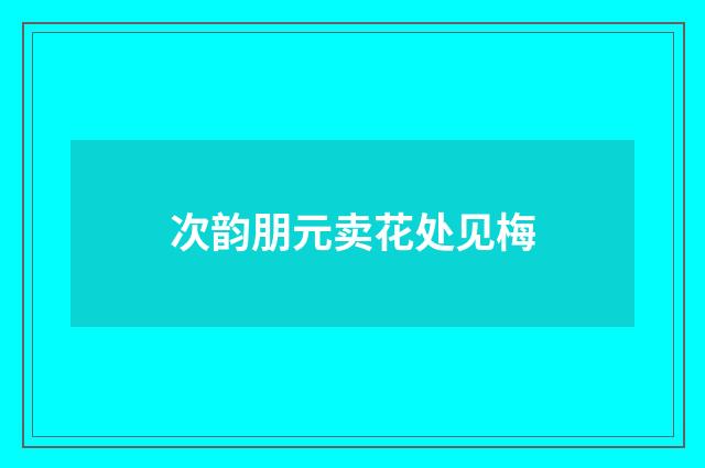 次韵朋元卖花处见梅