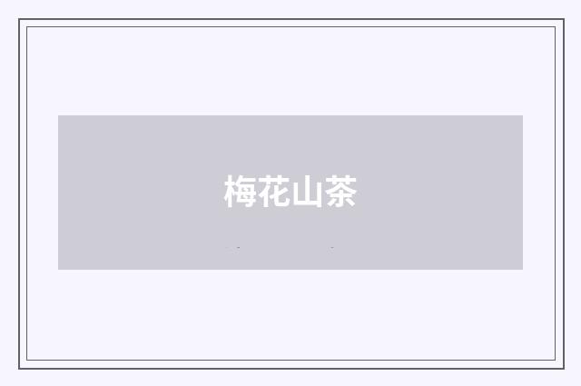 梅花山茶