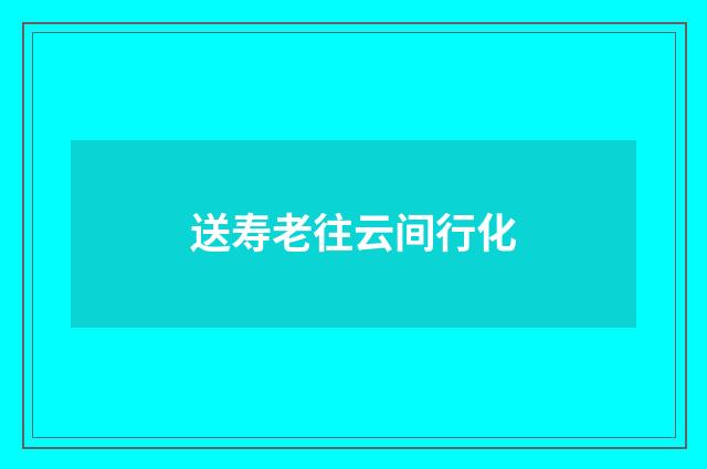 送寿老往云间行化