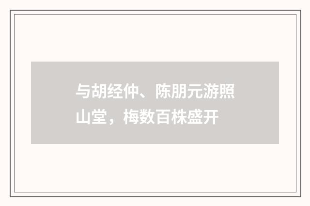 与胡经仲、陈朋元游照山堂，梅数百株盛开