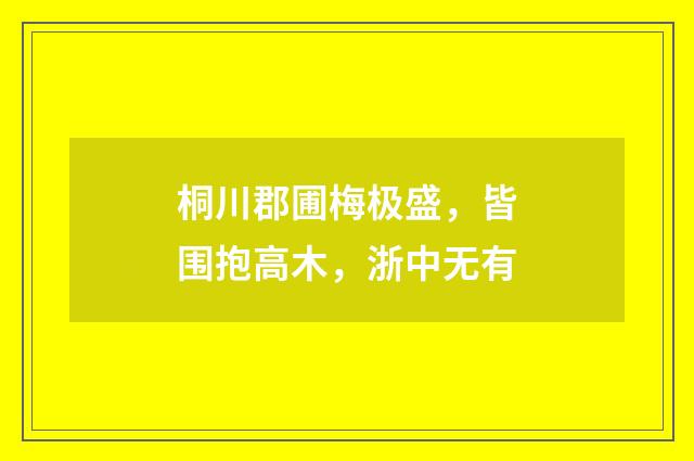 桐川郡圃梅极盛，皆围抱高木，浙中无有