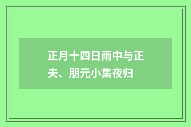 正月十四日雨中与正夫、朋元小集夜归