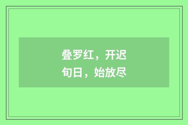叠罗红，开迟旬日，始放尽