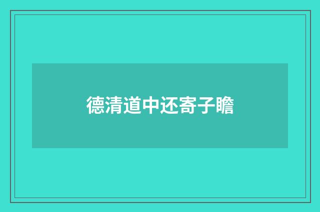 德清道中还寄子瞻