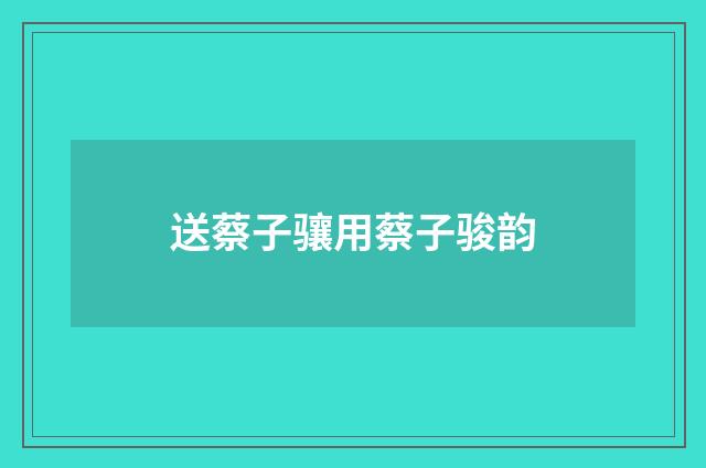 送蔡子骧用蔡子骏韵