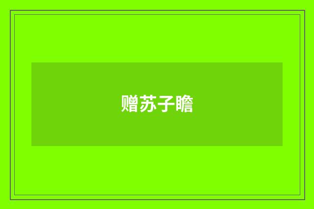 赠苏子瞻