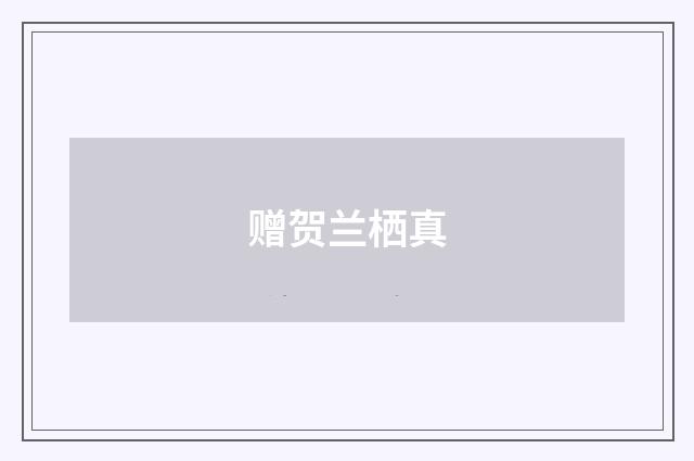 赠贺兰栖真